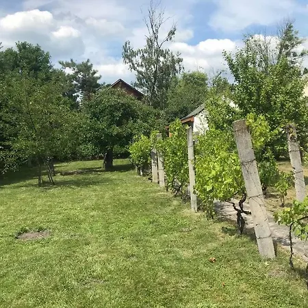 Charmantes Haus Mit Garten In Nachster Seenahe Balatonmariafurdo